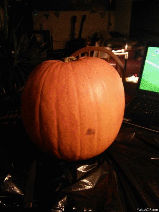 Pumpkin 2014 Progress